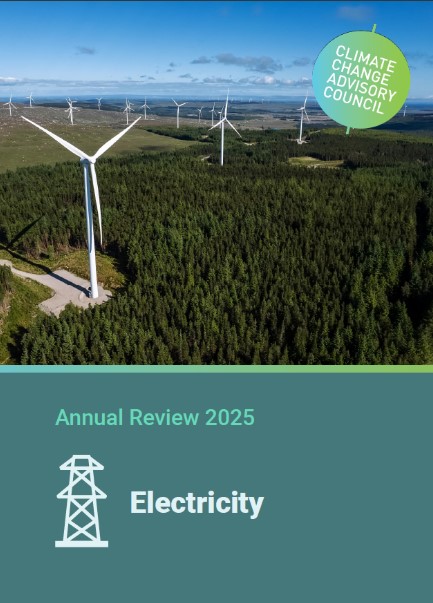 Annual Review 2025 - Electricity